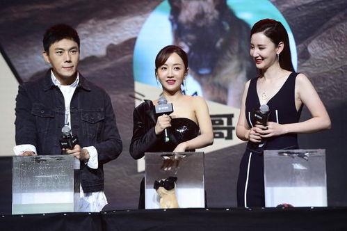 718娱乐圈吃瓜汇总,揭秘明星幕后故事，吃瓜汇总大盘点  第2张